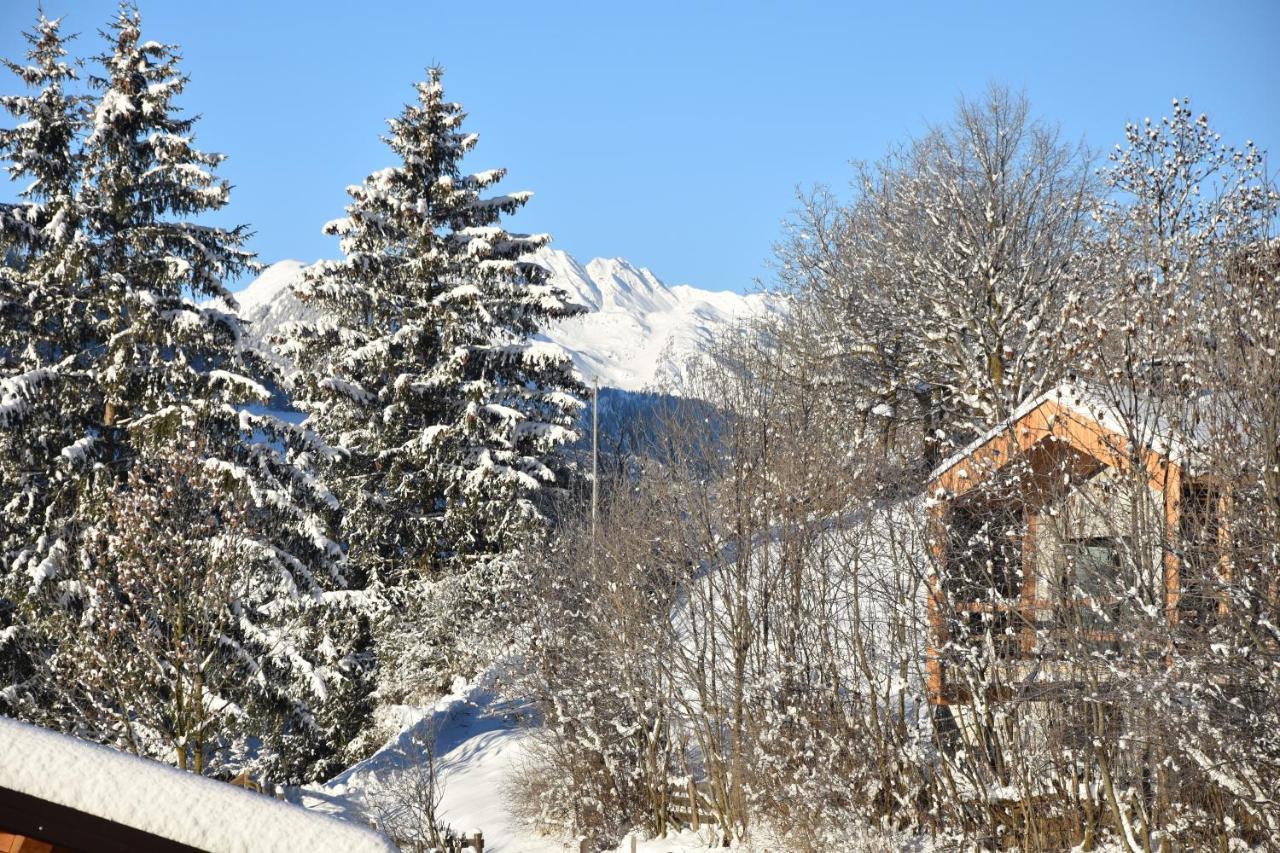 Chalet & Appartement Zingerlehof Trens Campo di Trens Esterno foto