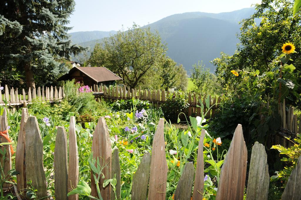 Chalet & Appartement Zingerlehof Trens Campo di Trens Esterno foto